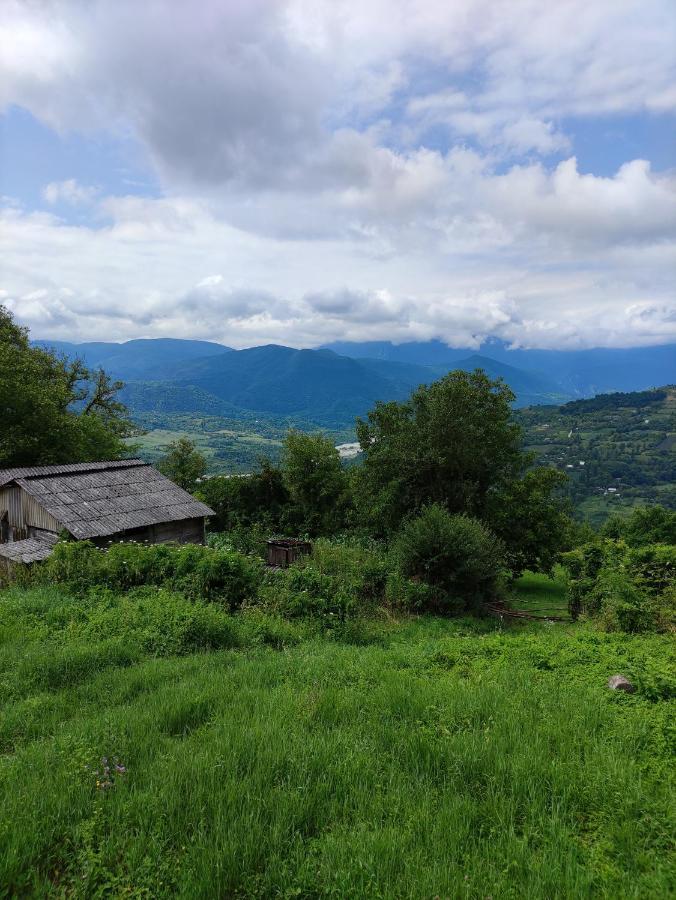 Racha Chogovadze'S Guest House Ambrolauri Kültér fotó