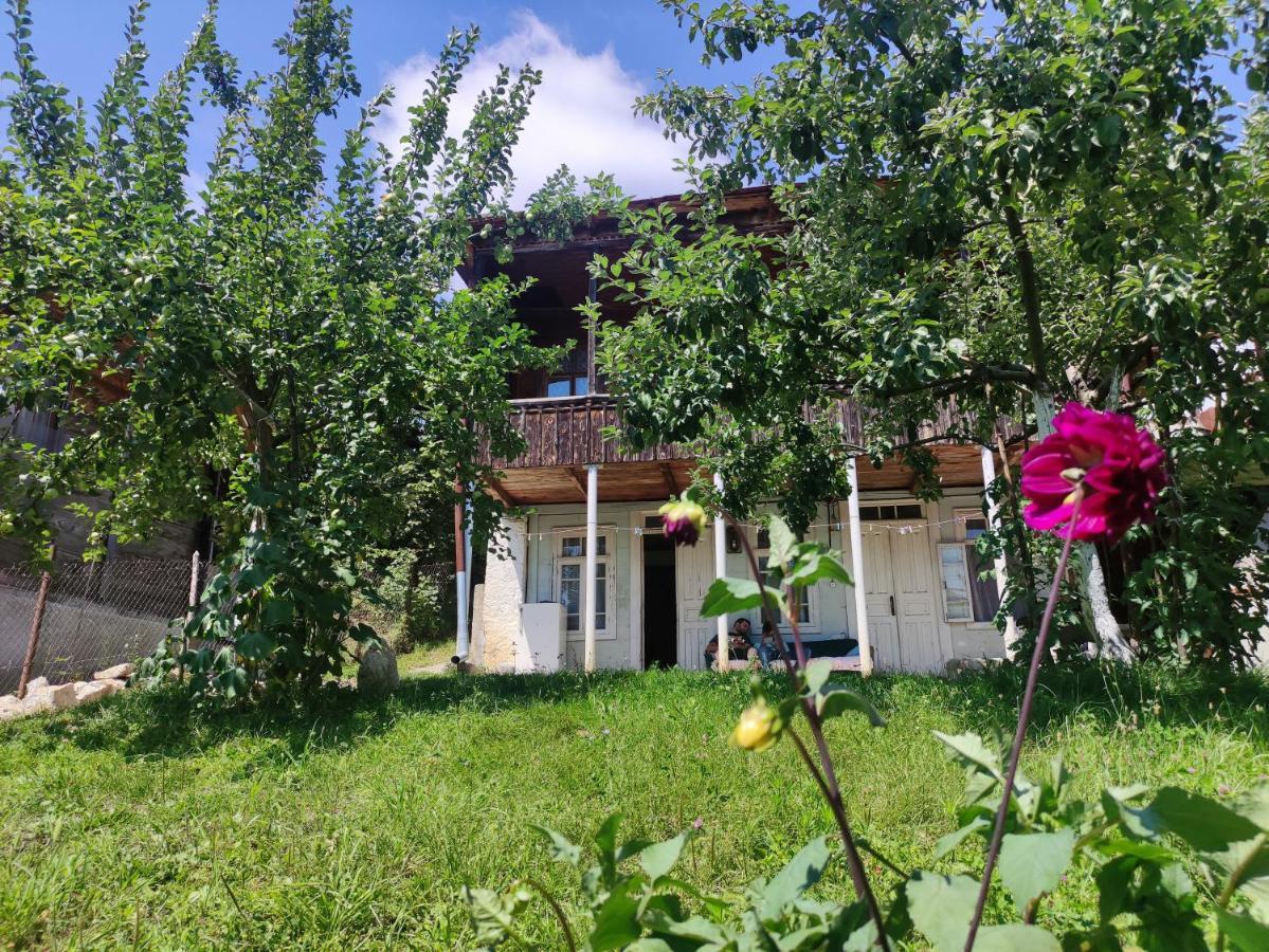 Racha Chogovadze'S Guest House Ambrolauri Kültér fotó
